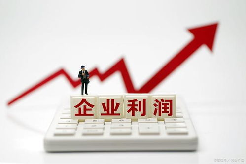 個體工商戶的15個財稅要點,2021報稅政策 稅收優惠等