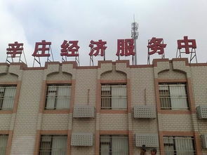 天津企業注冊與代理服務全攻略 一站式解決工商執照、公司注冊和代理記賬